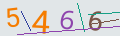 verifycode
